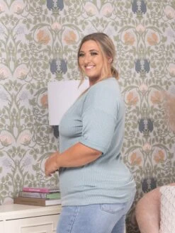 Heimish Raised Rib V-Neck Top | S-3X -Bee Cool Store b4db1558224f999ad45554fd2f6e3ff6