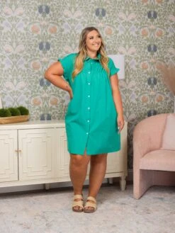 Shirred Ruffle Sleeve Button Up Short Dress | S - XL -Bee Cool Store f61922ca6efef41ca89b1eb4b770afc3